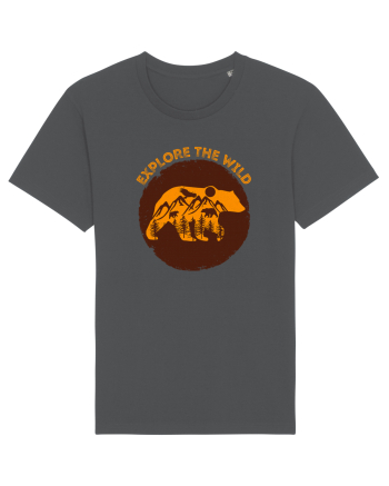 Mountain Bear Anthracite
