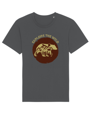Mountain Bear Anthracite