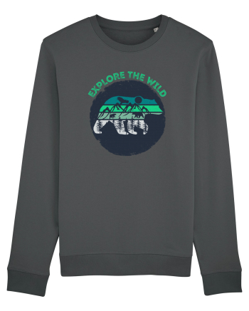 Mountain Bear Anthracite