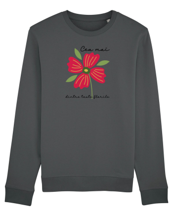 Cea mai floare Anthracite