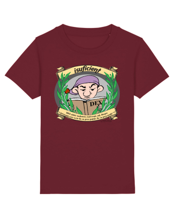 Isuficient - DEX altfel Burgundy