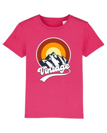 Vintage Mountain Raspberry