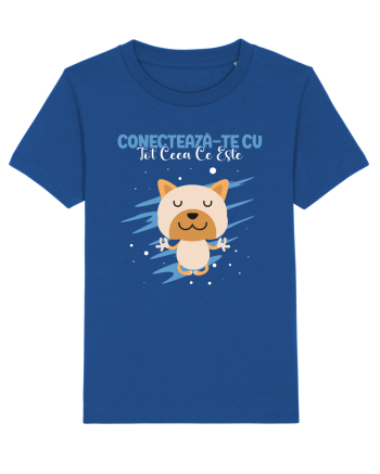 Conectează-te cu tot ceea ce este Majorelle Blue