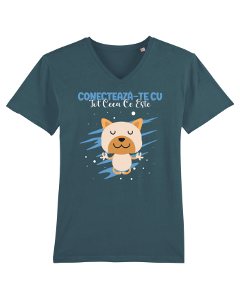 Conectează-te cu tot ceea ce este Stargazer