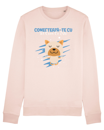 Conectează-te cu tot ceea ce este Candy Pink