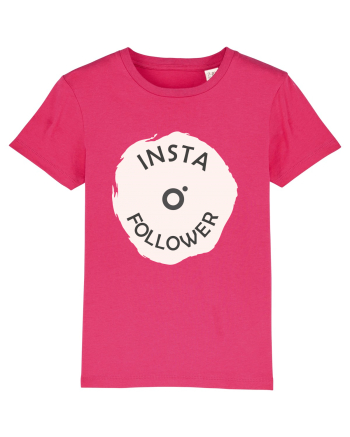 Insta Follower Raspberry