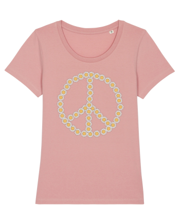 Peace Flowers Daisy Canyon Pink