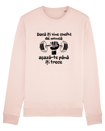 Dacă îți vine cheful de muncă așază-te până îți trece Candy Pink