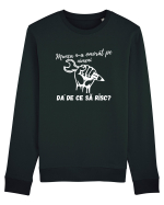 Munca n-a omorât pe nimeni da' de ce să risc? Bluză mânecă lungă Unisex Rise