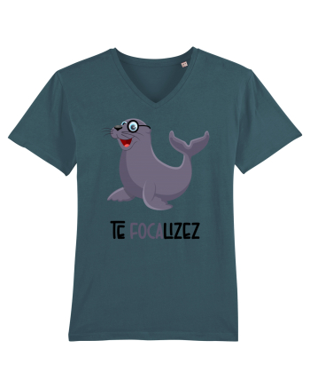 Te focalizez Stargazer