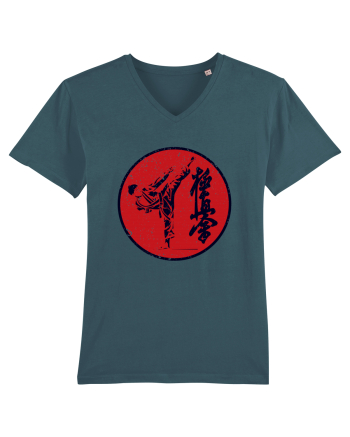 Kyokushin Karate  Stargazer