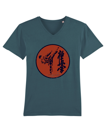 Kyokushin Karate  Stargazer