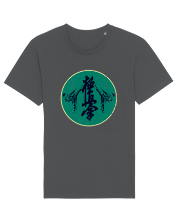 Kyokushin Karate  Anthracite