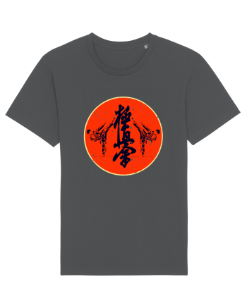 Kyokushin Karate  Anthracite
