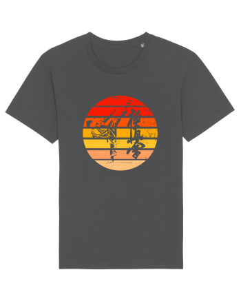 Kyokushin Karate  Anthracite