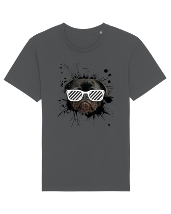 Mops Anthracite