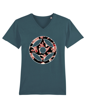 Kyokushin Karate  Stargazer