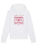 Responsabila cu cocktailurile Hanorac Unisex Drummer