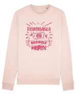 Responsabila cu deciziile pripite Bluză mânecă lungă Unisex Rise