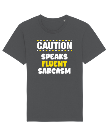 Caution - speaks fluent sarcasm Anthracite
