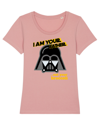 Funny Darth Vader Canyon Pink