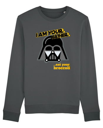 Funny Darth Vader Anthracite