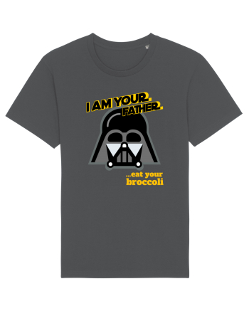 Funny Darth Vader Anthracite
