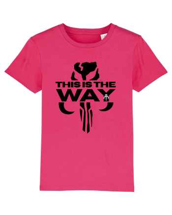 Mandalorian This Is The Way Raspberry