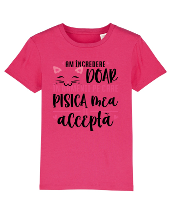 Încredere condiționată Raspberry