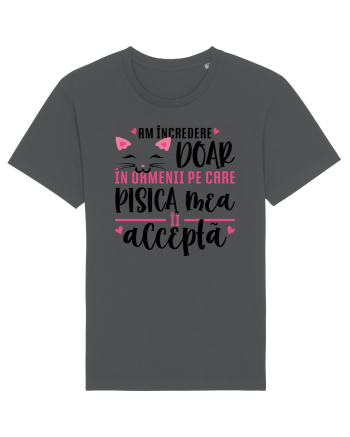 Încredere condiționată Anthracite