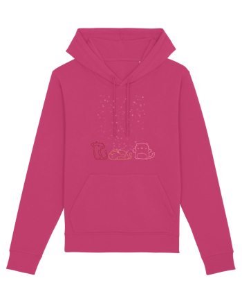 Cats pretty Raspberry