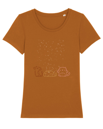 Cats pretty Roasted Orange