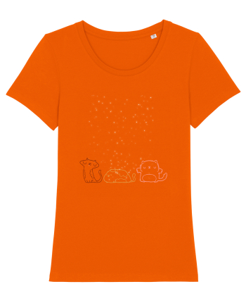 Cats pretty Bright Orange