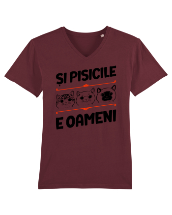 Și pisicile e oameni Burgundy