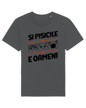 Și pisicile e oameni Anthracite