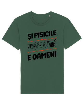 Și pisicile e oameni Bottle Green