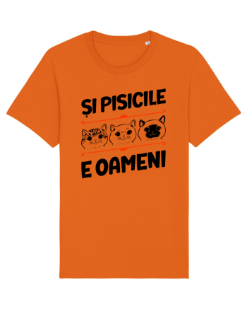 Și pisicile e oameni Bright Orange
