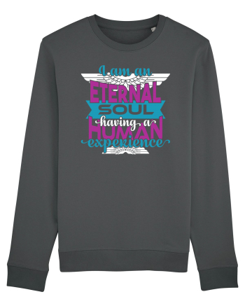 Eternal soul Anthracite