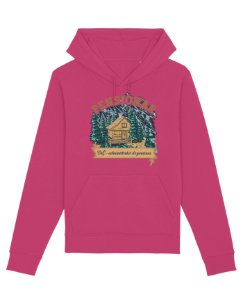 Pensionar Raspberry