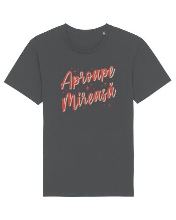 Retro party - Aproape mireasa Anthracite