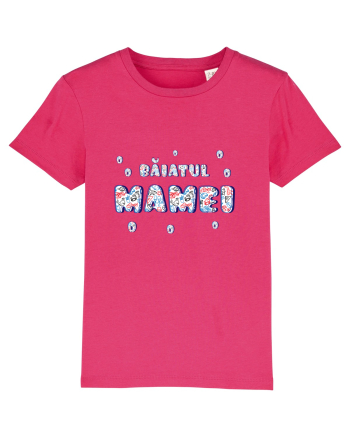 Băiatul mamei Raspberry