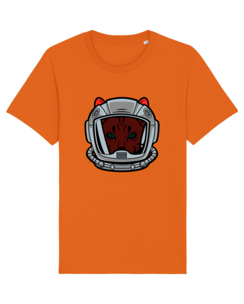 Astro cat Bright Orange