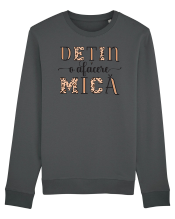 Dețin o afacere mică Anthracite