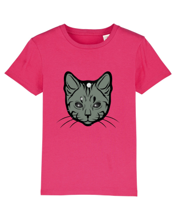 Space Cat Raspberry