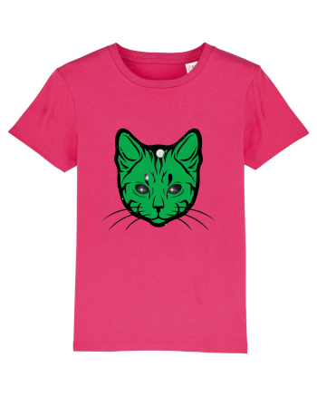 Space Cat Raspberry