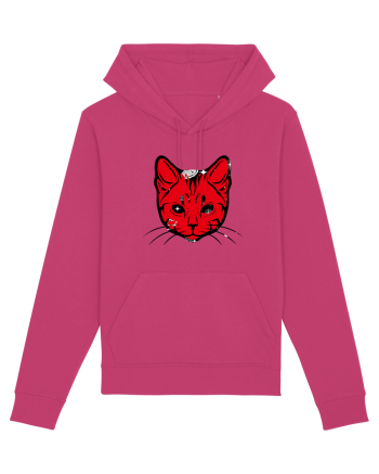 Space Cat Raspberry