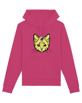 Space Cat Raspberry
