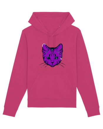 Space Cat Raspberry
