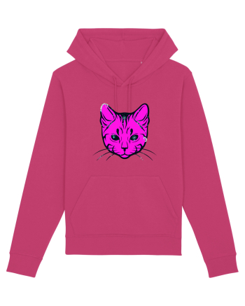 Space Cat Raspberry