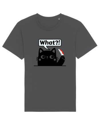 Funny Killer Kitty Anthracite